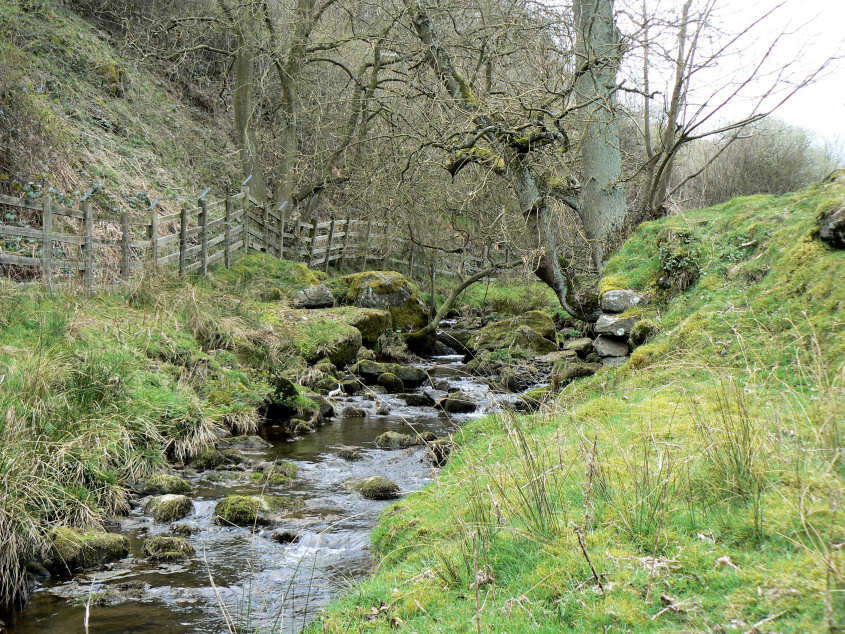 Heathy Lea Brook Heathy Lea Brook